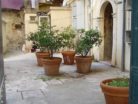 Albertini Bastia (Corsica)